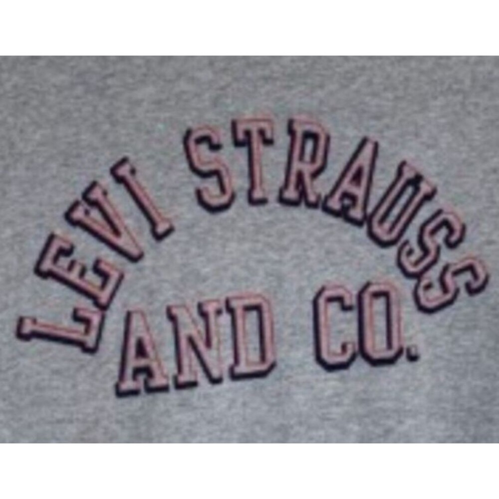 Levi’s Graphic Logo T-Shirt Mens XL Gray Levi Strauss & Co Casual Tee - Picture 2 of 8